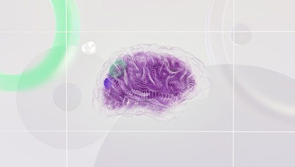 pexels-googledeepmind-17483868.jpg